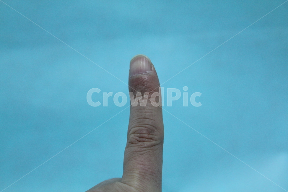 손,손가락,손가락모양,손모양,손톱,손등,신체,인체,사람,인물,인간,human,person,신체일부,몸,body
