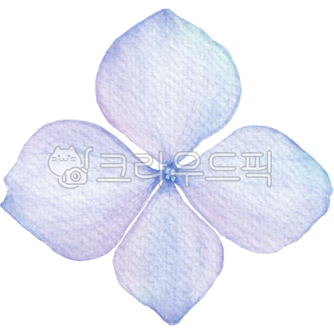 수국,수국꽃,수국꽃잎,꽃잎,수국그림,수국일러스트,수국수채화,수국꽃잎일러,수국꽃잎수채화,수국꽃잎디자인,꽃잎디자인,꽃잎그림,꽃잎일러스트,플로랄,플로랄디자인,보태니컬,flower,hydrangea,petal,floral,floraldesign