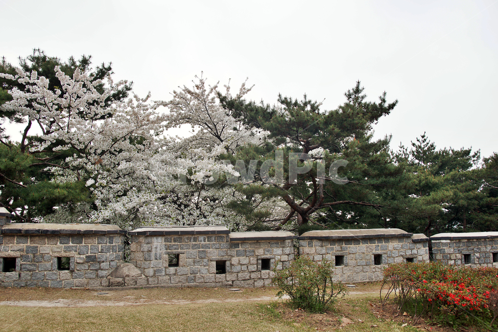 성곽,성벽,수원화성,화성,유네스코세계문화유산,조선시대,한국전통,한국문화,korean traditional,korean culture,건축물,건물외관,exterior,building,structure,architecture,construction