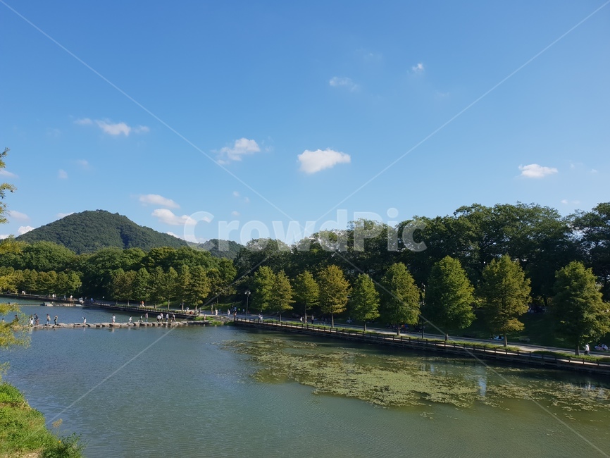 담양,담양풍경,호수,푸른하늘,하늘,나무,water,물,outdoors,nature,자연