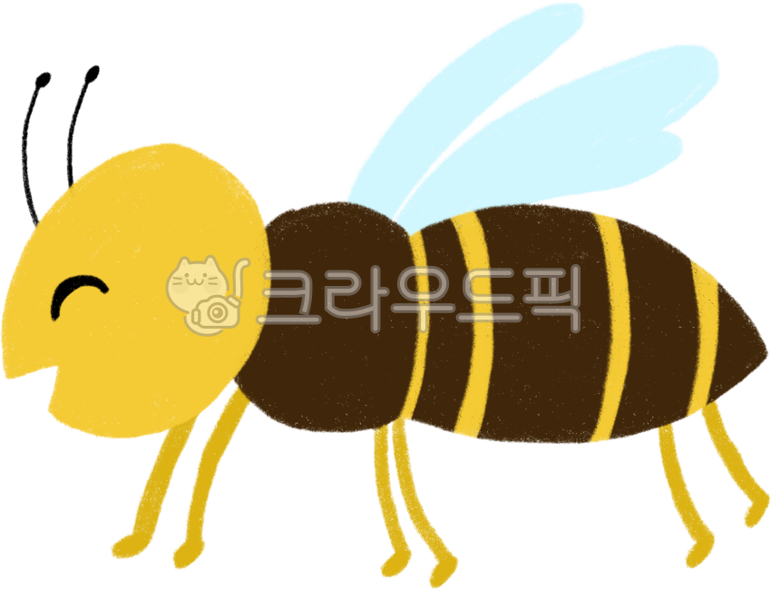 bee,bug,cute insect,insect,insect illustration,Insect,insect character