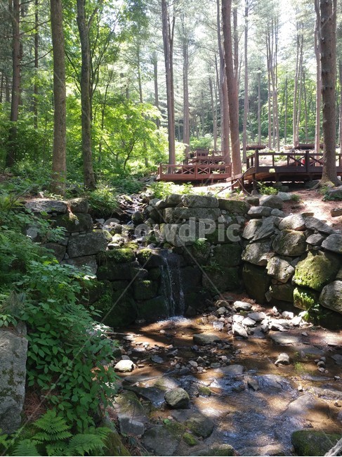 산,계곡,나무,울창한,valley,mountain,화창한,자연,풍경,nature,landscape,water,물
