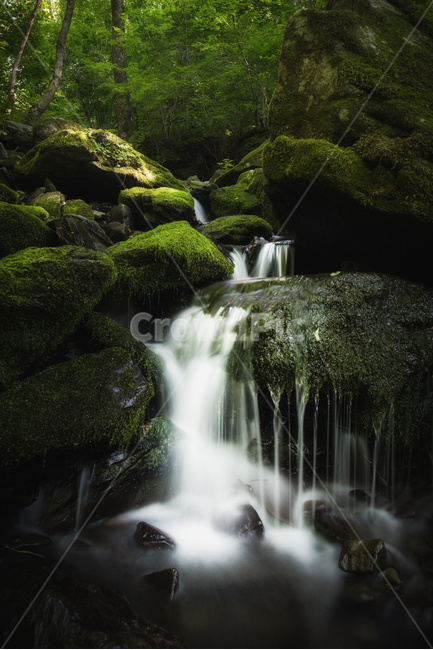 물,자연,폭포,풍경,계곡,강원도,이끼,장노출,water,nature,waterfall,scenary,landscape,moss,valley,mossvalley,longexposure,자연,풍경,nature,landscape