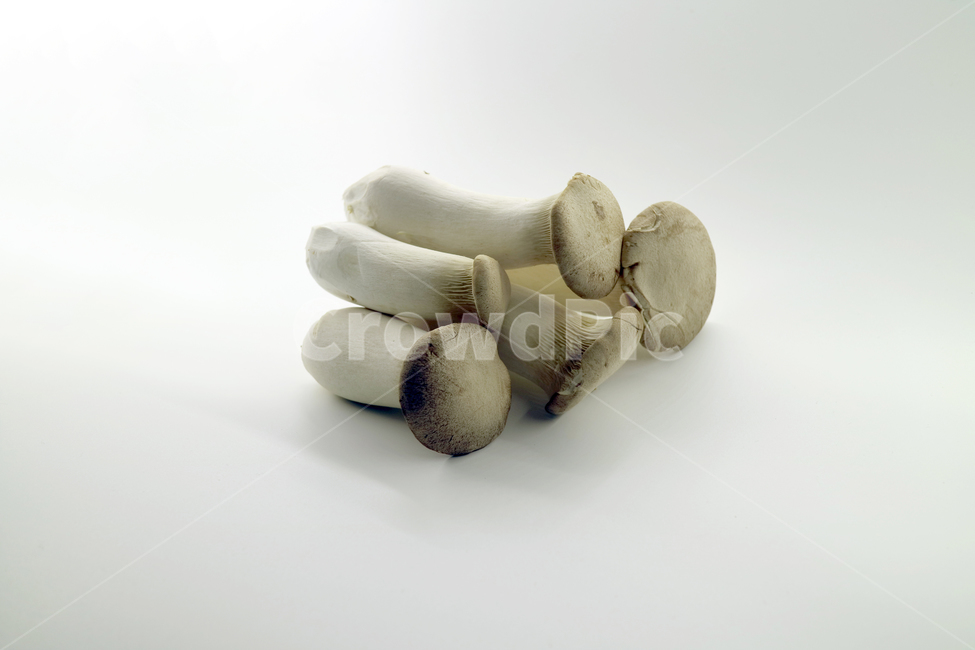 새송이버섯,버섯,채소,야채,음식,식품,식재료,건강,웰빙,다이어트,샐러드,싱싱한,신선한,오브젝트,누끼,food,fresh,버섯,mushroom,음식,식재료,요리,food,cook,meal,dishes,food reserves,누끼,remove background
