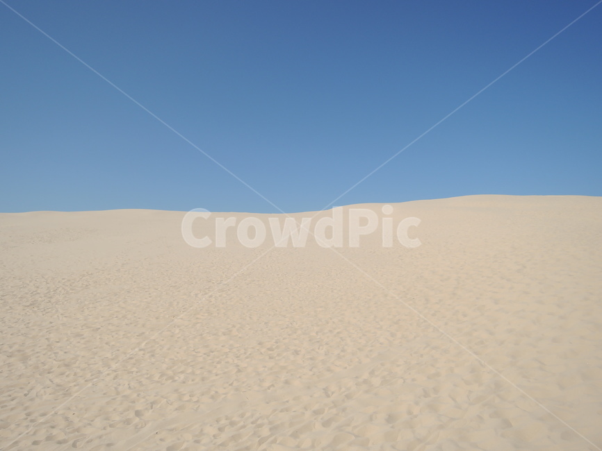 흙,soil,dune,모래언덕,sand,모래