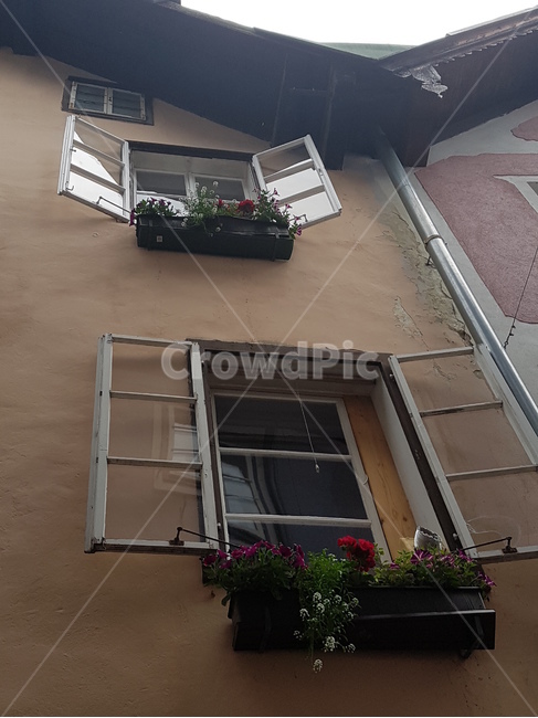 homedecor,가정장식,window,창문,소통,건축물,건물외관,exterior,building,structure,architecture,construction