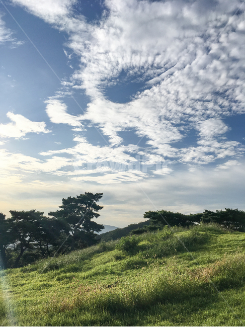하늘,구름,권적운,outdoors,nature,자연,field,grassland,구름떼