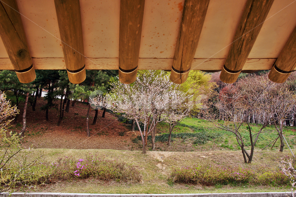 복내당,화성행궁,행궁,수원,정조,내아,처마,후원,한국전통,한국문화,korean traditional,korean culture,건축물,건물외관,exterior,building,structure,architecture,construction