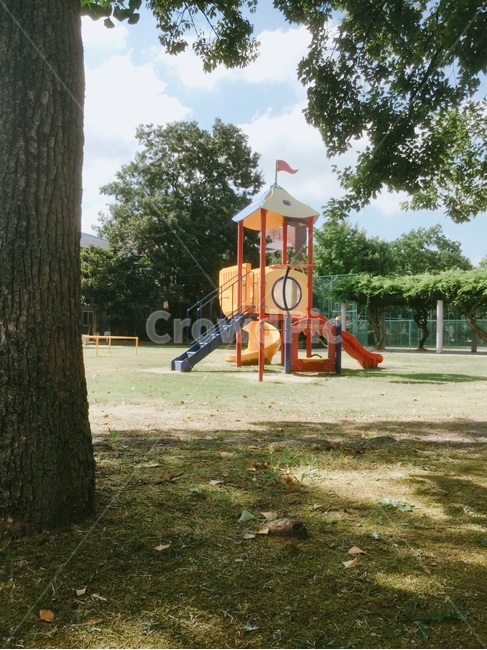 공원,일본,후쿠오카,미끄럼틀,나무,놀이공원,놀이동산,놀이터,amusement park,playground