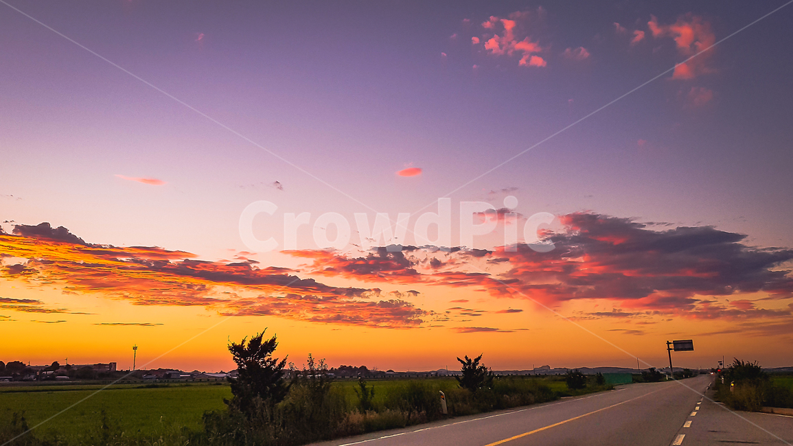 당진,도로,노을,시골,논,밭,시골길,하늘,보라,빨강,구름,자연,풍경,nature,landscape,outdoors,옥외