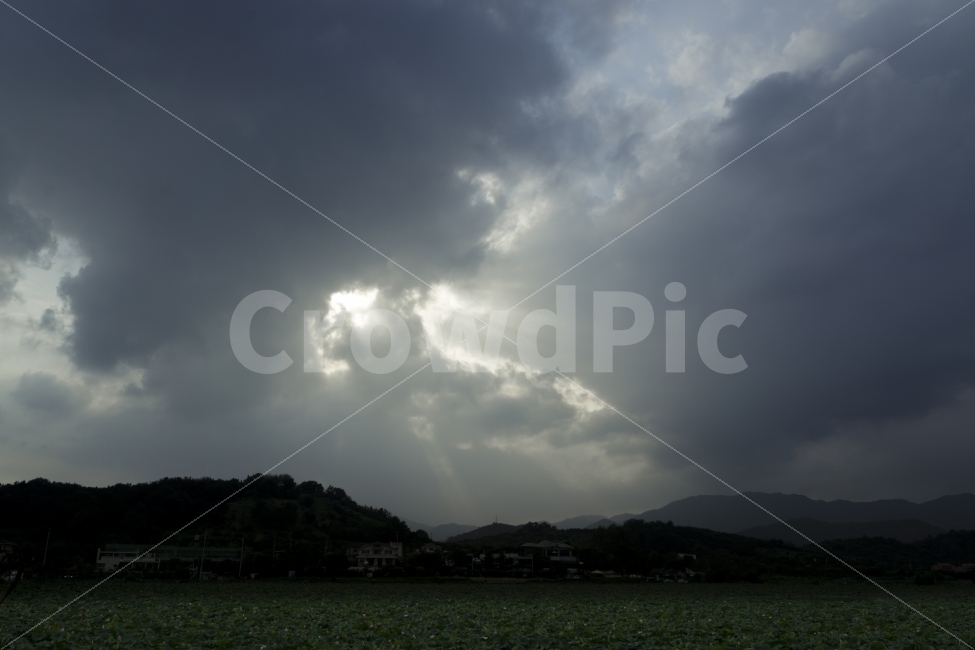구름,여행,연꽃,유등연지,자연,청도,힐링,먹구름,빛,자연,풍경,nature,landscape,weather,날씨,outdoors,옥외