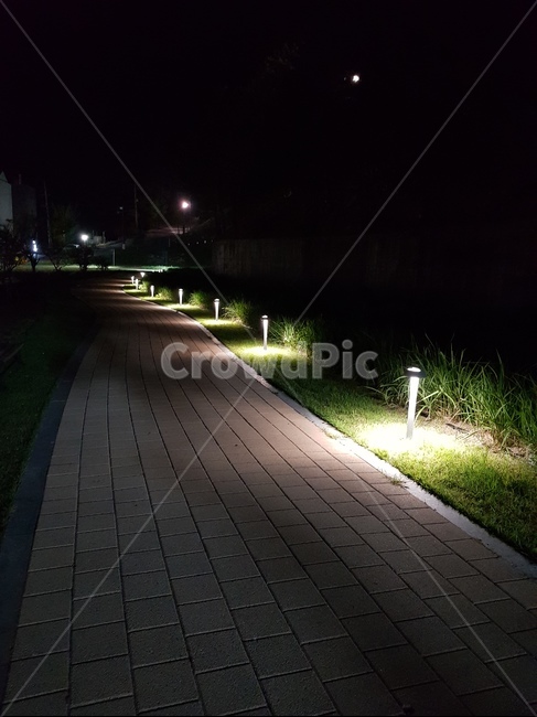밤,길,산책,night,road,light,빛