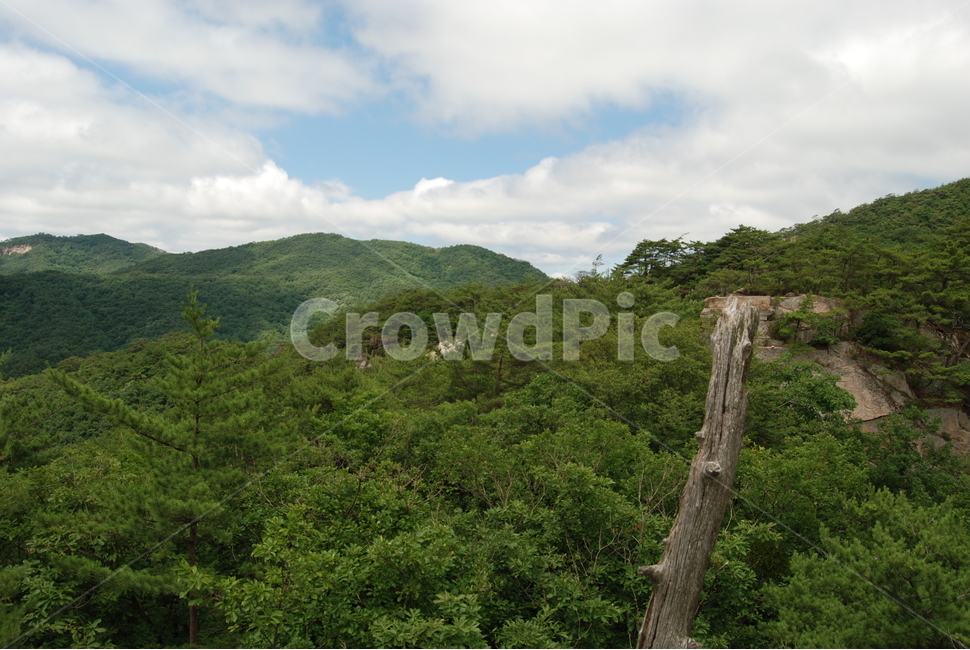 자연,하늘,구름,나무,등산로,자연,풍경,nature,landscape,outdoors,옥외