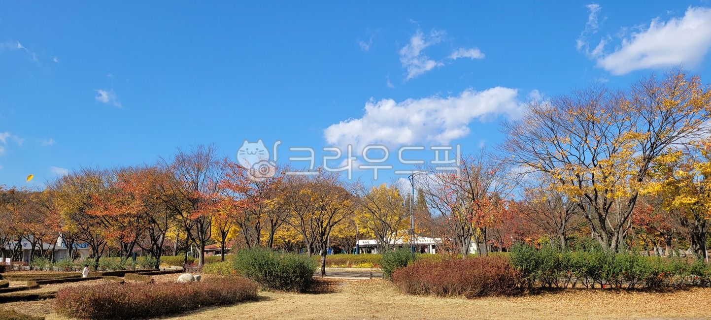 sky,cloud,plant,sight,tree,autumn,park