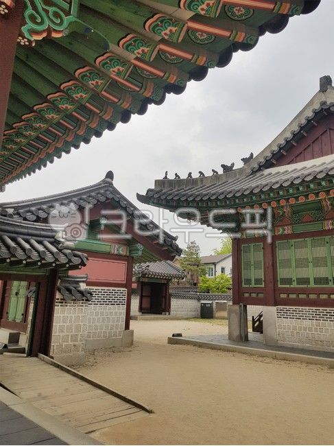 창덕궁, 궁궐, 대궐, 건축물, architecture, 사진,이미지,일러스트,캘리그라피 - SHININGLIFE작가