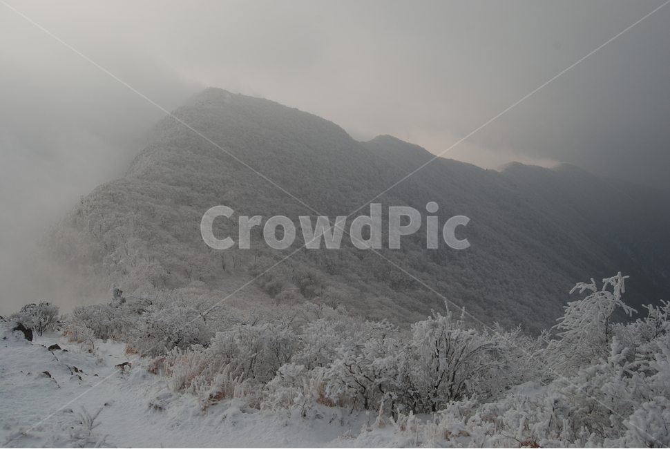 겨울,산,눈,공원,탐방로,겨울,계절,winter,season,자연,풍경,nature,landscape,한국자연풍경,한국자연경관,korea nature landscape,outdoors,옥외