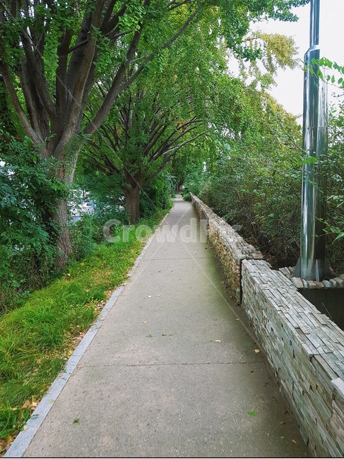 길,초록,path,green,자연