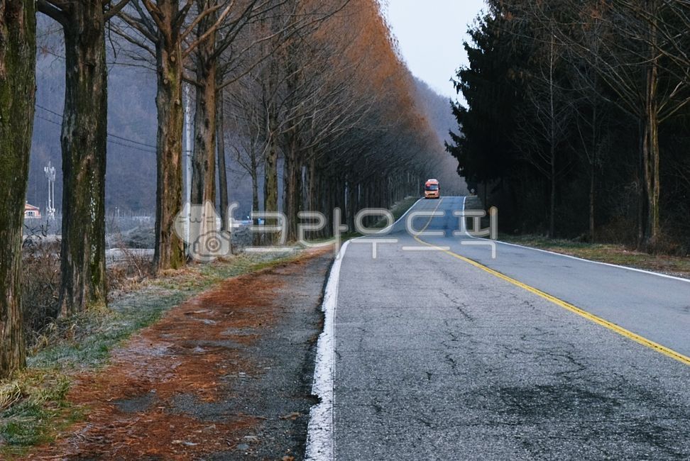 trail,Drive course,sand ash,road name,tree,metasequoia