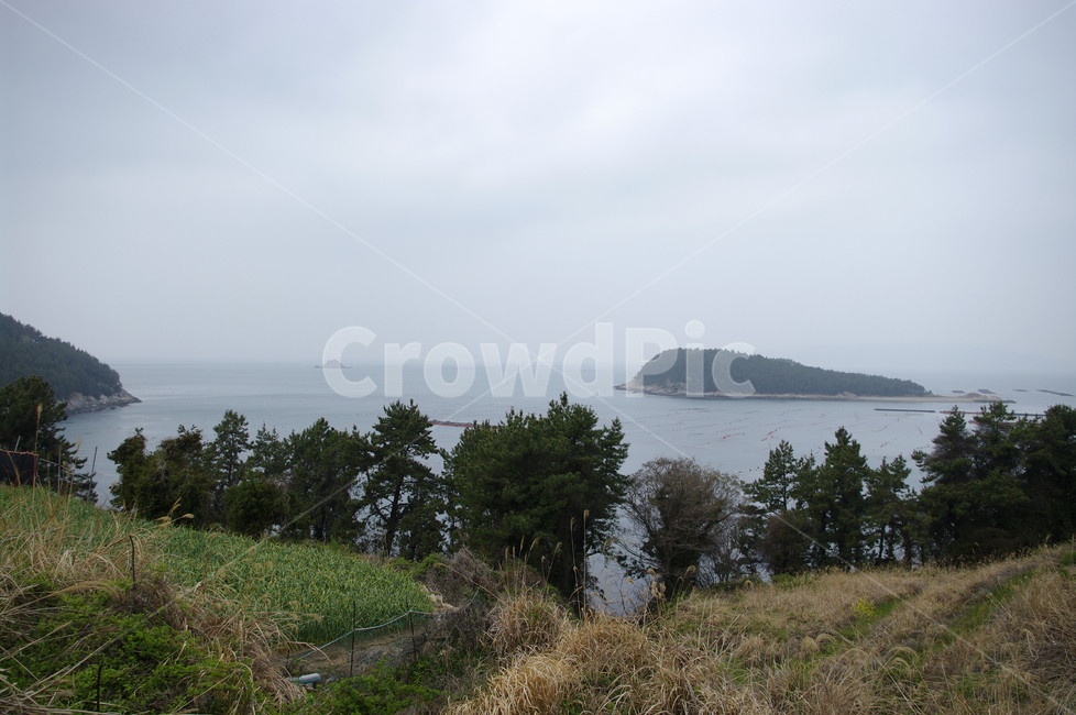 풍경,나무,소나무,식물,plant,자연,nature,섬,바다,자연,풍경,nature,landscape,한국자연풍경,한국자연경관,korea nature landscape,outdoors,옥외,land,땅,water,물,sea,ocean,대양,shoreline,해안선