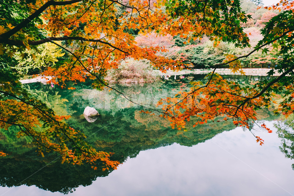 풍경,배경,가을,단풍,등산,전라도,내장산,background,scenery,autumn,maple,mountain,계절,fal,lseason,자연,nature,landscape,한국자연풍경,한국자연경관,koreanaturelandscape,한국전통,한국문화,koreantraditional,koreanculture,사람들,대중,군중,other,people,crowd,물들다,반영,백암사,오색,명소,배경화면,가을,계절,fall,autumn,season,자연,풍경,nature,landscape,감성,sensible,feeling,leaf,잎,plant,식물,tree,나무