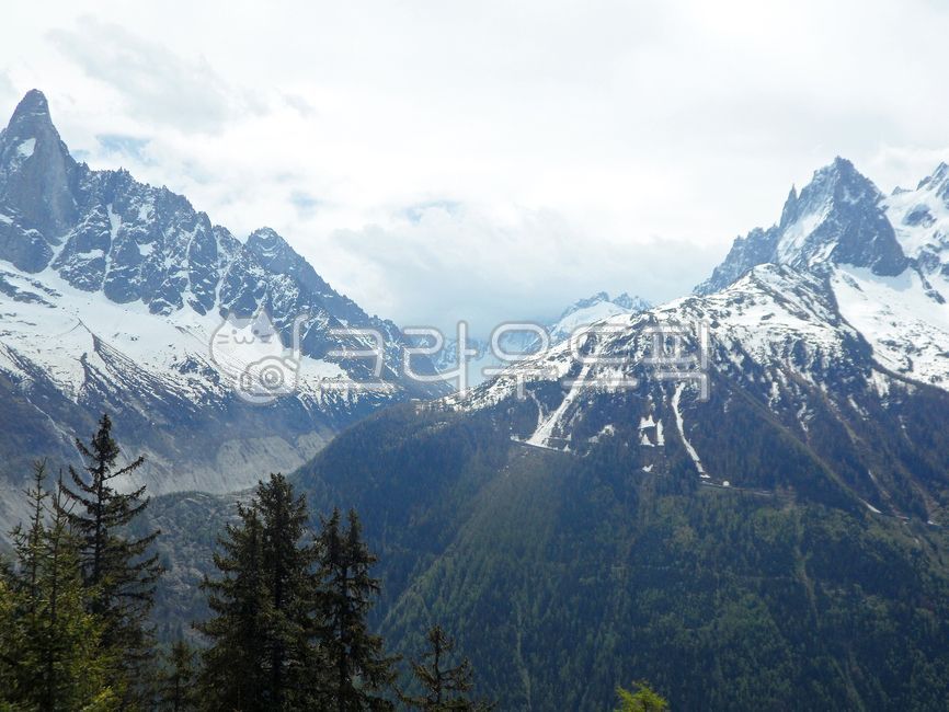 프랑스,샤모니,몽블랑,자연풍경,배경,눈,산,자연,빙하,골짜기,산맥,겨울,나무,산악지형,옥외,하늘,해외,외국,해외풍경,외국풍경,france,chamonix,montblanc,naturallandscape,background,snow,mountain,nature,glacier,valley,mountainrange,winter,tree,mountainouslandforms,outdoors,sky,overseas,foreigncountry,overseaslandscape,foreignlandscape,식물,plant