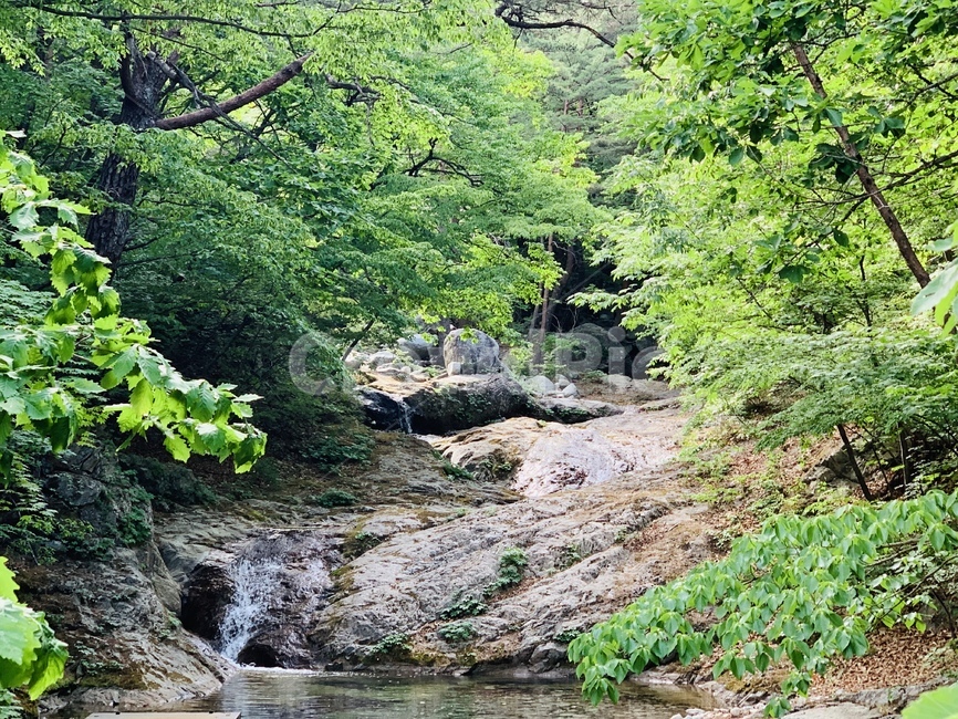 풍경,야생,자연,흐름,물,water,outdoors,자연,풍경,nature,landscape