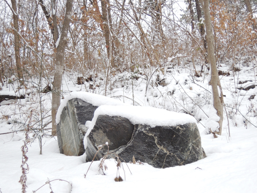 겨울,겨울숲,눈쌓인숲,함박눈,겨울나무,winter,winterforest,winterwoods,winterwoodland,snowcoveredforest,겨울,계절,winter,season
