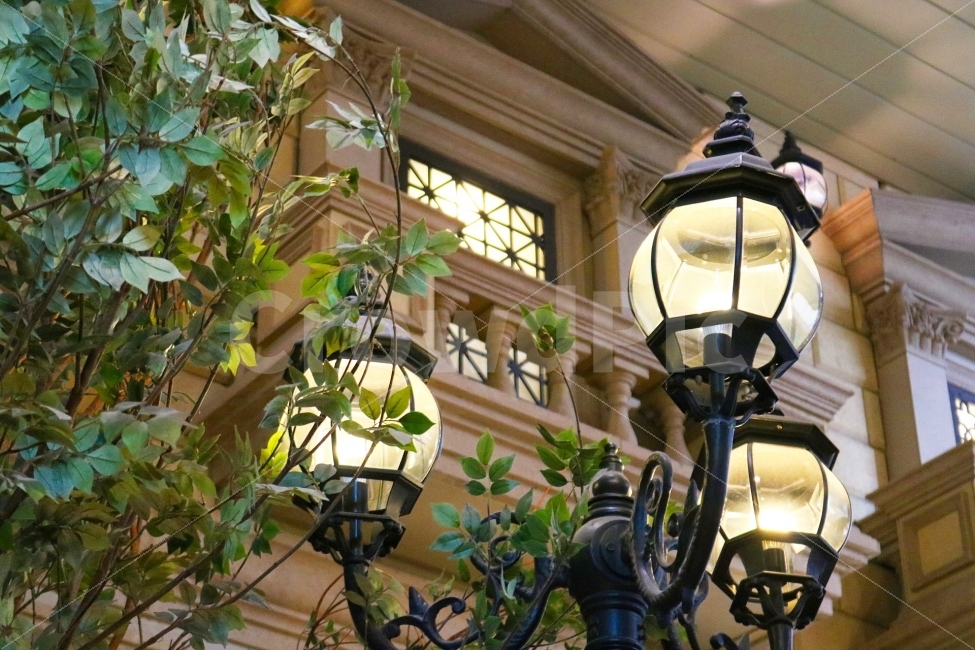 나무,가로등,분위기,저녁,캐논,식물,자연,plants,nature,건축물,건물외관,exterior,building,structure,architecture,construction