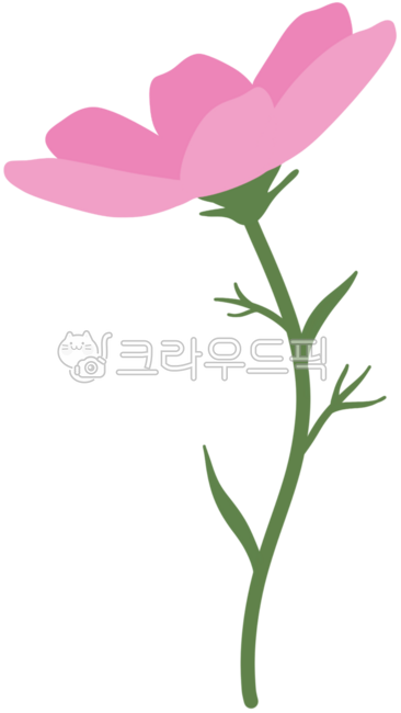 코스모스,가을,꽃,가을꽃,식물,자연,잎,풍경,잎사귀