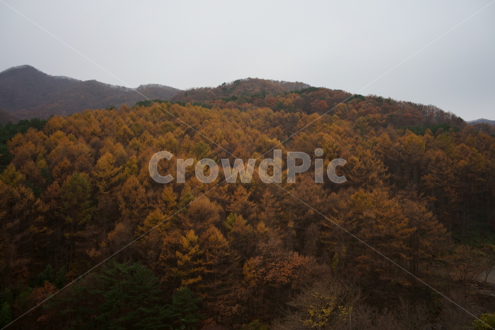 가을,산,가을풍경,자연,흐림,korealandscape,autumn,autumnleaves,fall,mountain,가을,계절,fall,autumn,season
