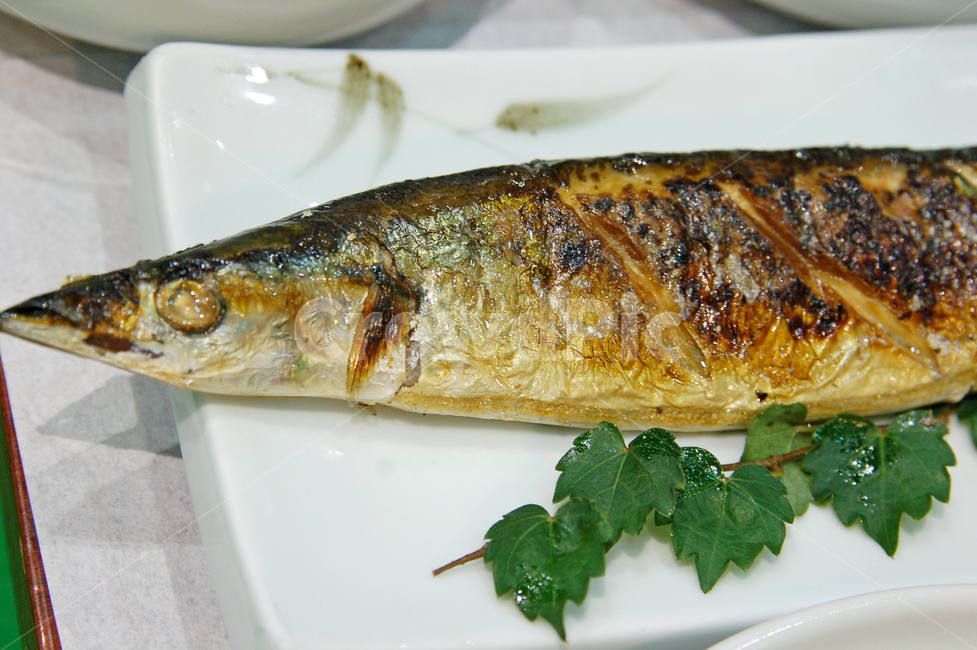 삼치구이,삼치,구이,생선,생선구이,음식,요리,반찬,한식,접시,음식,식재료,요리,food,cook,meal,dishes,food reserves,수산물,해산물,fishery products,seafood