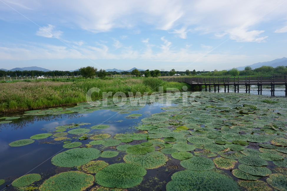 자연,nature,water,물,outdoors