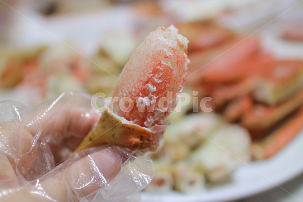 대게,해산물,게,음식,맛있는,음식,식재료,요리,food,cook,meal,dishes,food reserves,수산물,해산물,fishery products,seafood