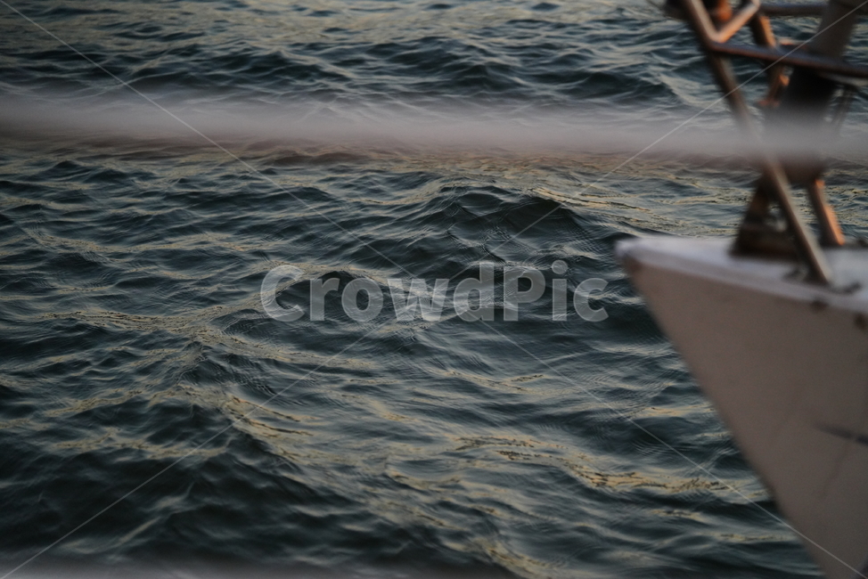 파도,물살,강,river,nature,자연,water,물,옥외