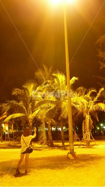 야자수,palmtree,야경,nightview,동남아,southeast,야경,밤,풍경,nightscape,night,landscape,사람,인물,인간,human,person,여성,여자,woman,female,lady,flare,플레어,light,빛