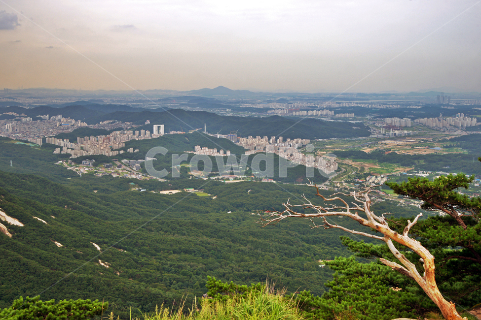 원효봉,고사목,도심,북한산,도심풍경,산,국립공원