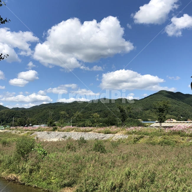 구름,시골풍경,풍경,하늘,sky,sunnyday,countryside