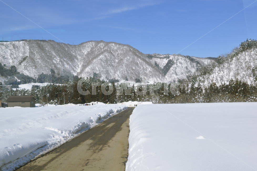 시라카와고,일본눈,눈,일본겨울,폭설,겨울,계절,winter,season,자연,풍경,nature,landscape,해외,외국,세계,foreign,oversea,world,세계자연풍경,해외자연풍경,외국자연풍경,world nature landscape,outdoors,옥외,mountain,산,tree,나무,plant,식물,abies,아비,fir,전나무,ice,빙