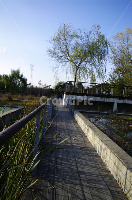 나무,공원,식물,하늘,plant,자연,풍경,nature,landscape,boardwalk,산책로,building,건물,bridge,다리,handrail,난간,banister