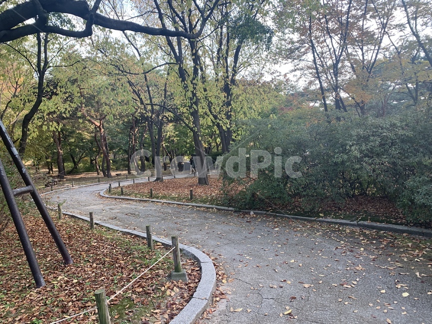 human,인간,person,사람,식물,나무,자연,정원,plant,풍경,산책로,산책길,tree,흙길,road
