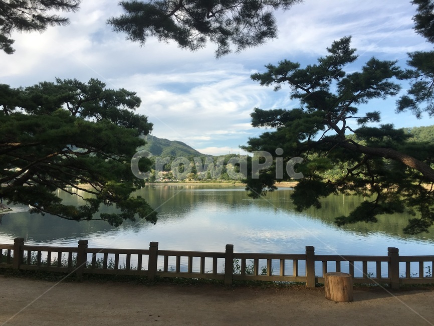 의림지,제천,유적,저수지,역사,자연,풍경,nature,landscape,water,물,outdoors,옥외