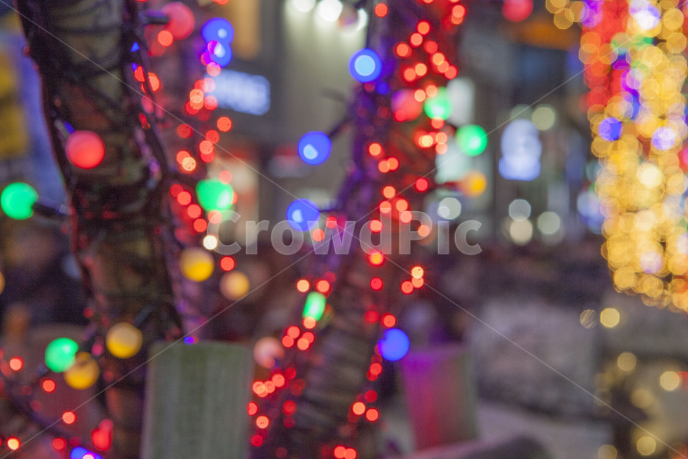 크리스마스,보케,아웃포커싱,전구,비비드,christmas,ornament,연말,장식,성탄절,거리,낭만,추억,야경,밤,풍경,nightscape,night,landscape,light,빛