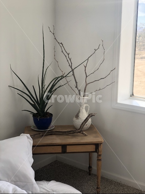 인테리어,plant,식물,소품,화분,인테리어,실내디자인,interior design