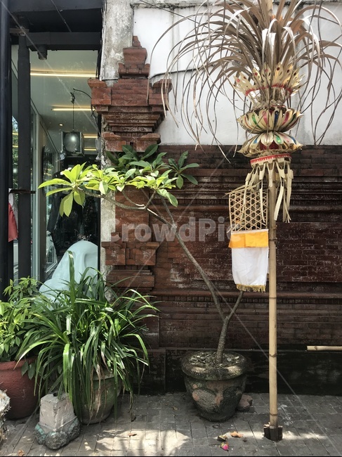 발리,bali,길거리,발리길거리,발리전통