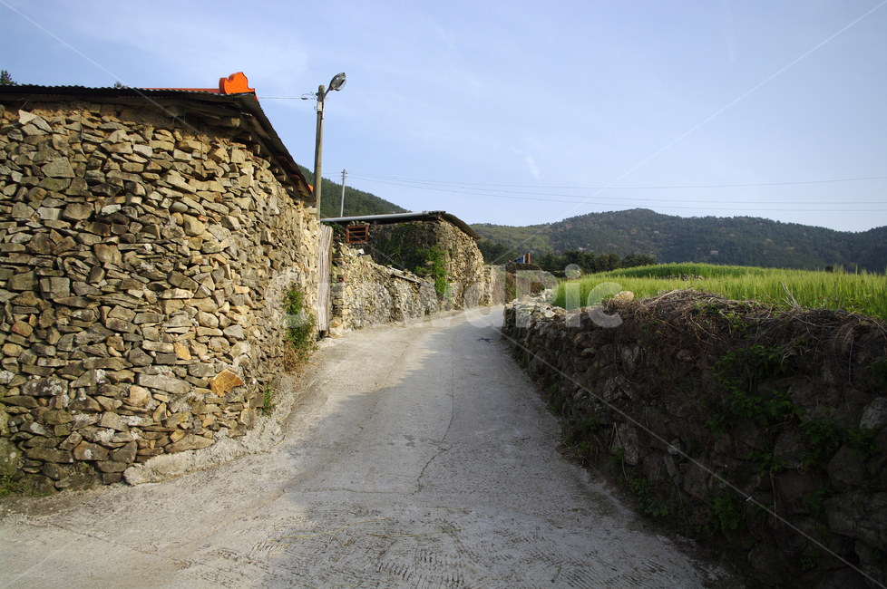 청산도,돌담길,돌담,집,길,보리밭,식물,plant,봄,spring,하늘,시골,마을,풍경,landscape,country,rural,town
