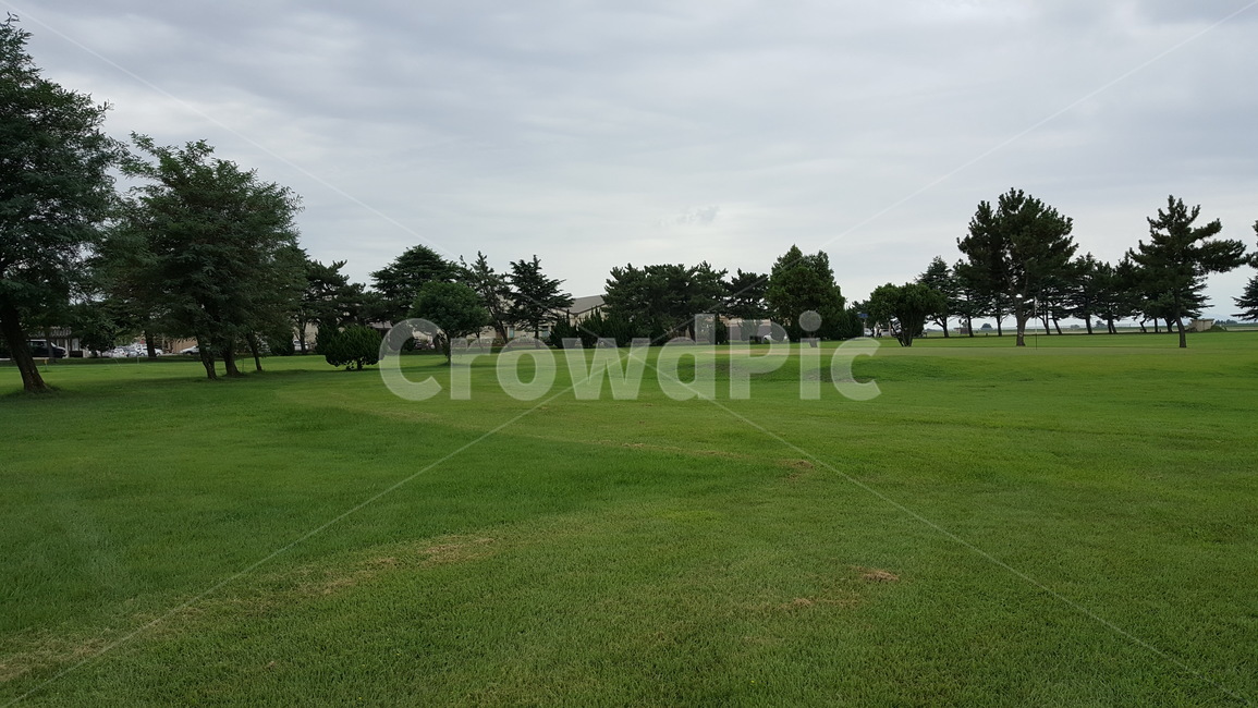 잔디,골프,자연,하늘,구름,자연,풍경,nature,landscape,field,들,outdoors,옥외