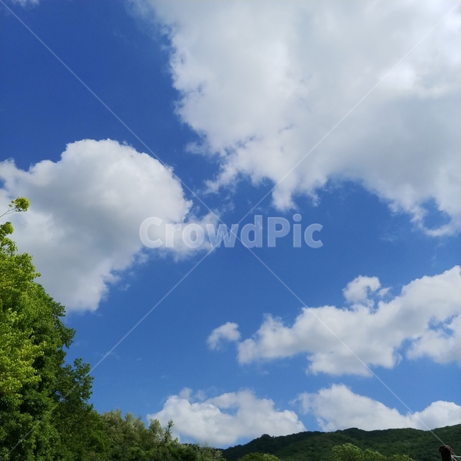 하늘,구름,파란하늘,풍경,맑은하늘,파랑,초록,파란색,초록색