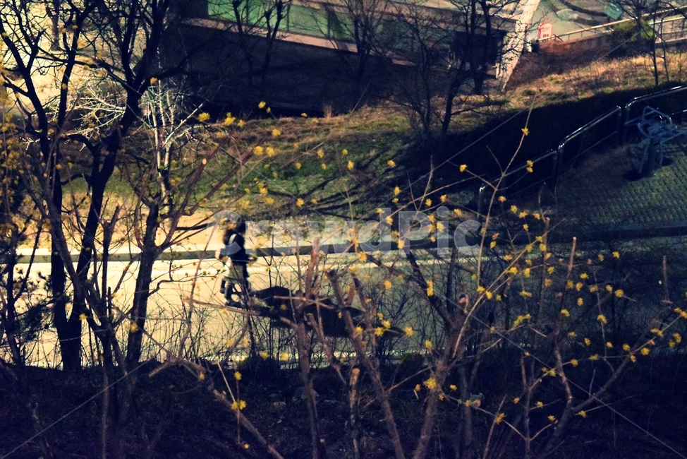 낙산공원,산책,데이트,연인,걷기