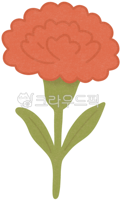 Carnation,flower,cute,Parents' Day,thank you,parental grace,grace,anniversary,father,mother,event,bouquet,flower basket,gratitude,mom,dad,parents,family,grandfather,parents,brooch,single flower