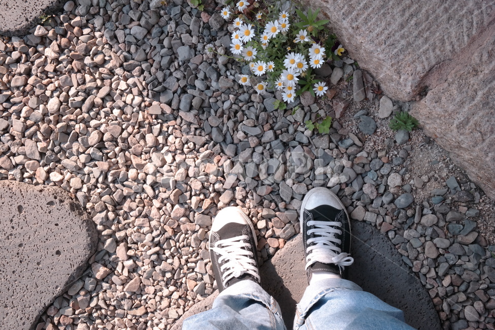 꽃,신발,컨버스,컨버스화,들꽃,개망초,신발류,footwear,shoe,흙길,자갈,돌